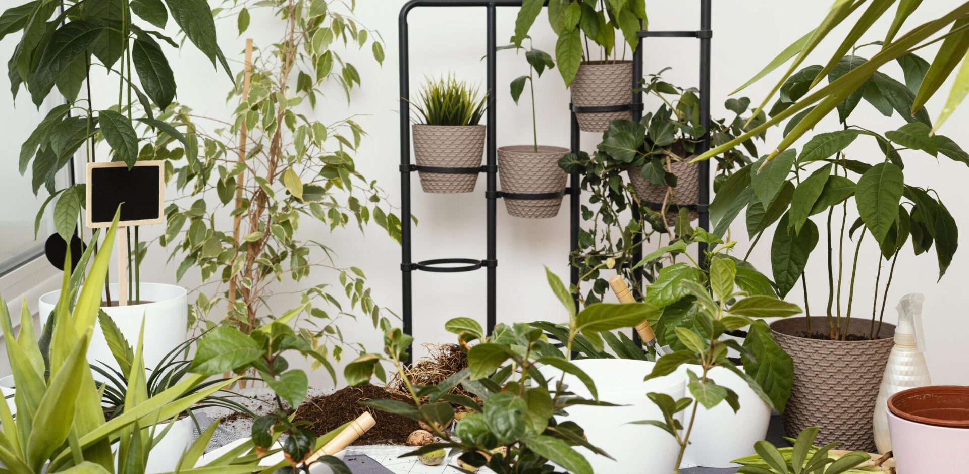 garden-home-concept